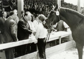 Josef Ertl, Veronika von Schöning, Stute Rastenburg