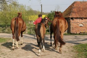 links Hirtenlied, rechts Zaubermärchen